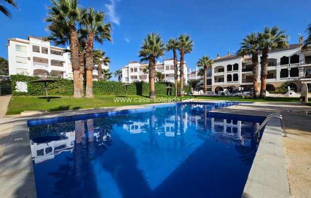 Apartment / flat - Resale - Villamartin - CSAA-53587