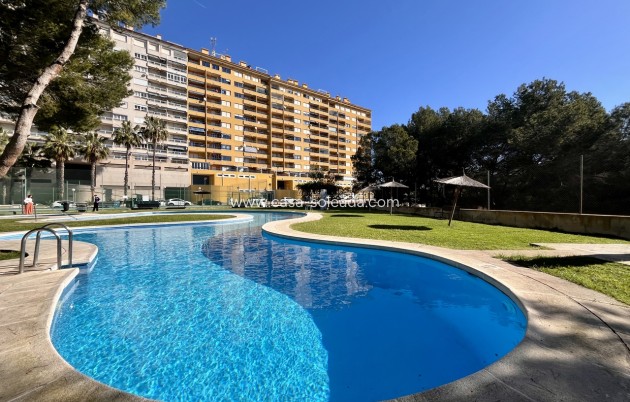 Appartement / flat - Herverkoop - Dehesa De Campoamor - Dehesa De Campoamor