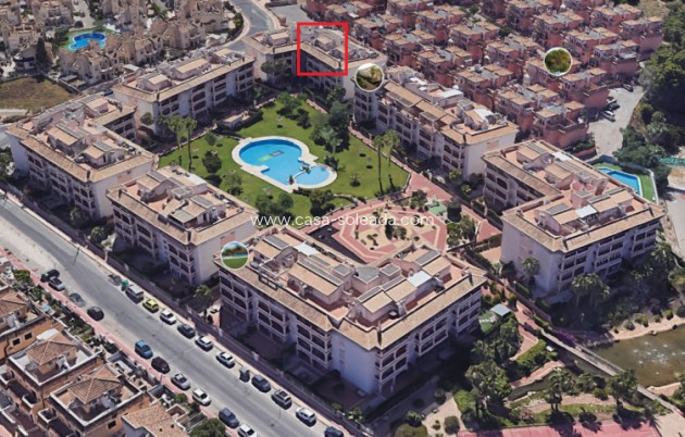 Appartement / flat - Herverkoop - Orihuela Costa - Costa Blanca