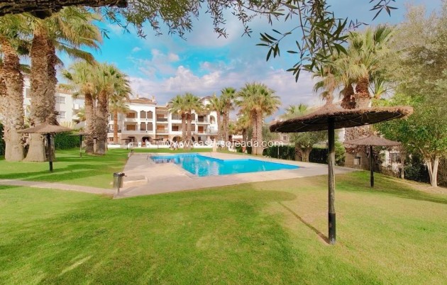 Appartement / flat - Herverkoop - Orihuela Costa - Villamartín