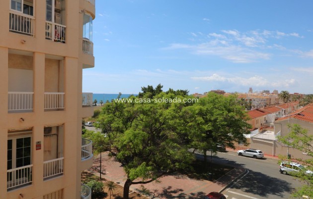 Appartement / flat - Herverkoop - Torrevieja - Acequion