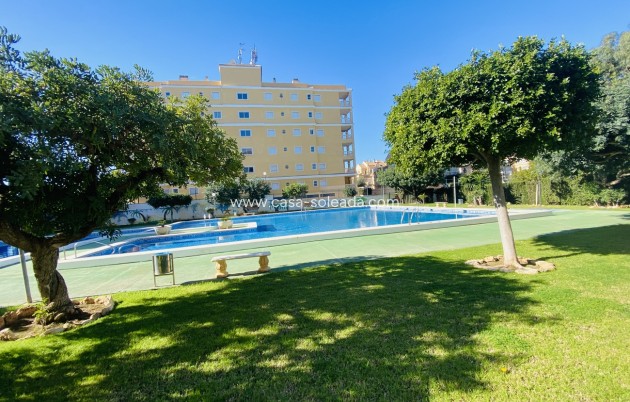 Appartement / flat - Herverkoop - Torrevieja - Torrevieja
