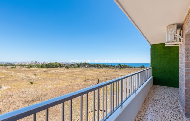 Appartement - Revente - Punta Prima - CSAI-81042