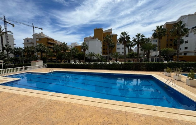 Appartement - Revente - Torrevieja - Costa Blanca