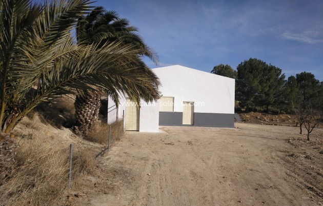 Commercial - Revente - Yecla - CSRES-79538