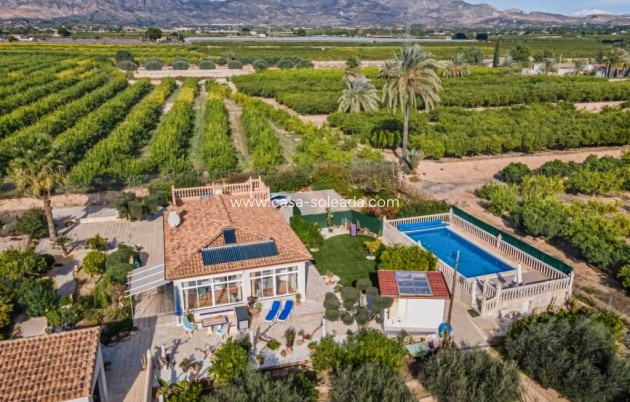 Country Property/Finca - Herverkoop - Albatera - Inland