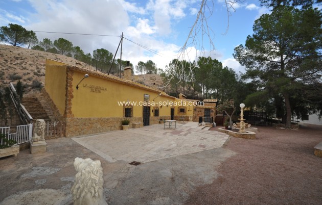 Country Property/Finca - Resale - Pinoso - Inland