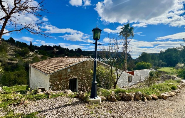 Country Property/Finca - Wiederverkauf - Pinoso - Inland