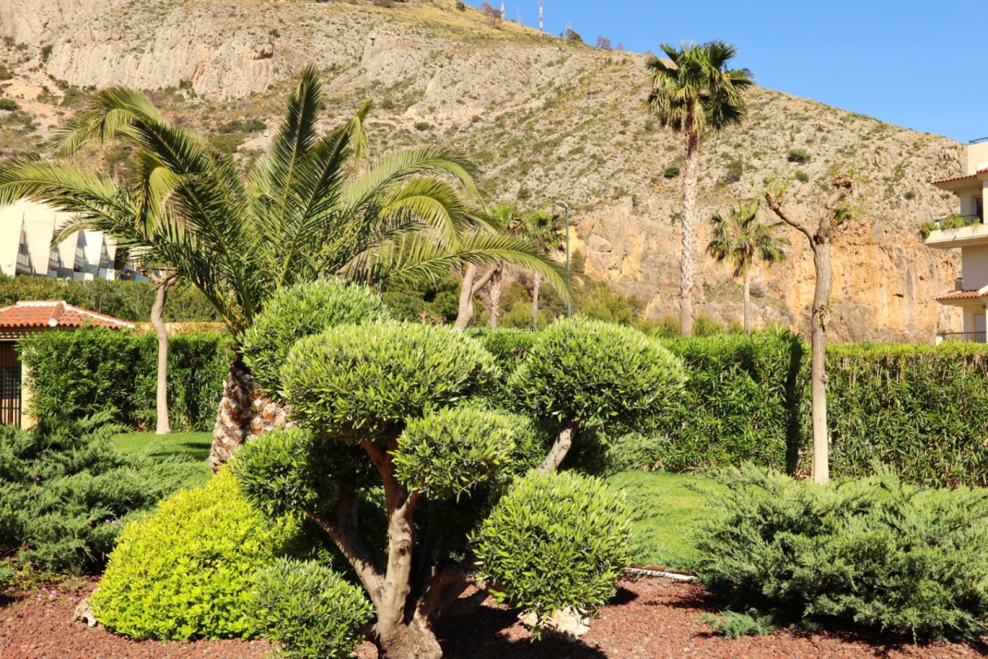 Herverkoop - Appartement / flat - Altea - Costa Blanca
