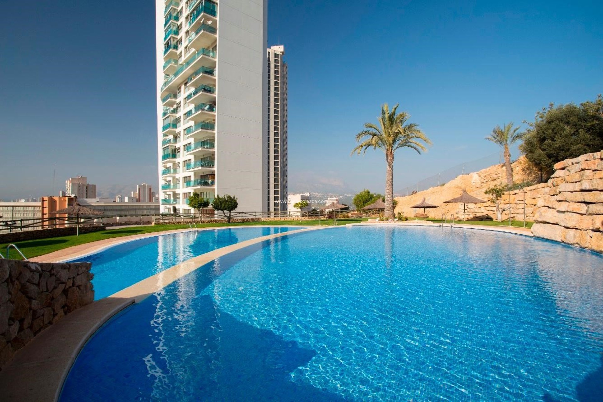 Herverkoop - Appartement / flat - Benidorm - Costa Blanca