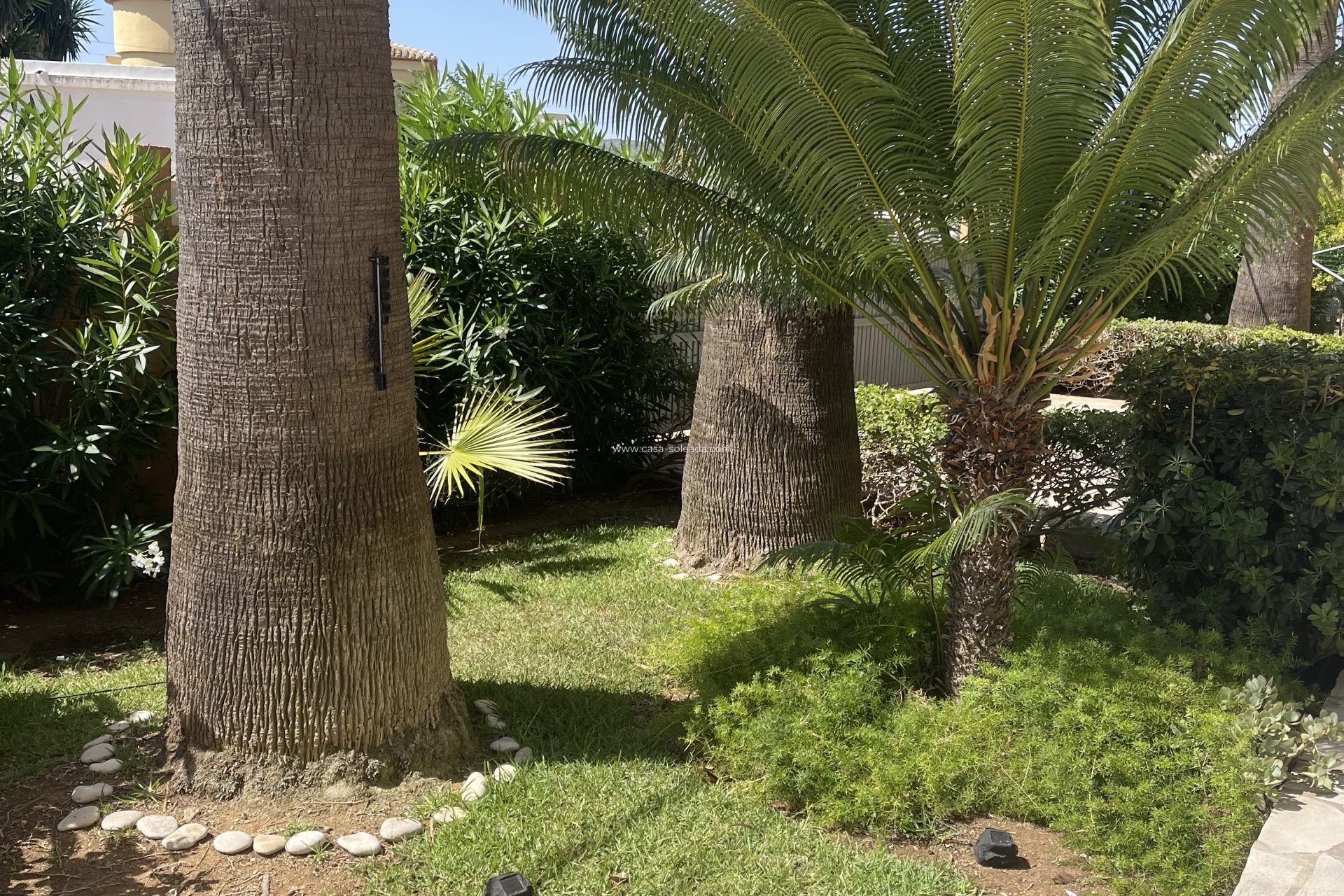 Herverkoop - Appartement / flat - Denia - Costa Blanca