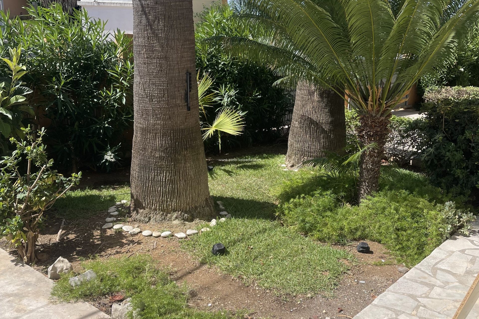 Herverkoop - Appartement / flat - Denia - Costa Blanca