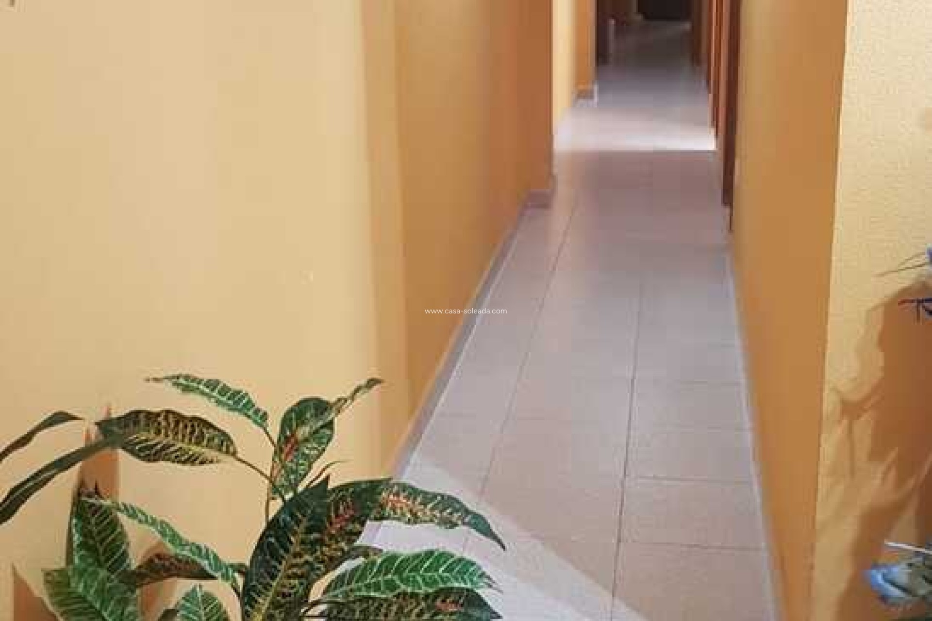 Herverkoop - Appartement / flat - La Mata - Costa Blanca
