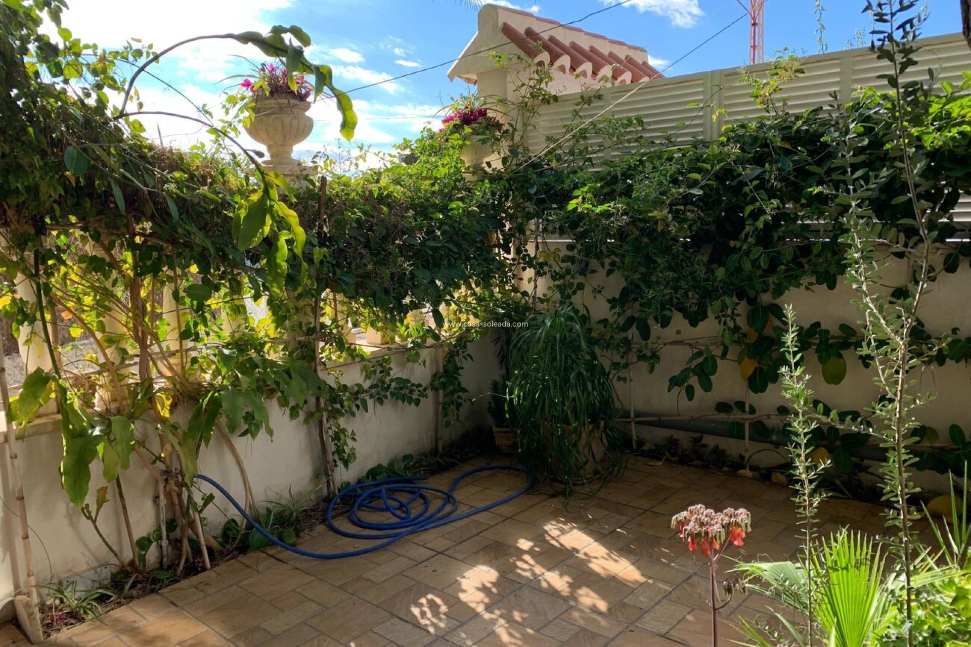Herverkoop - Appartement / flat - La Zenia - Costa Blanca