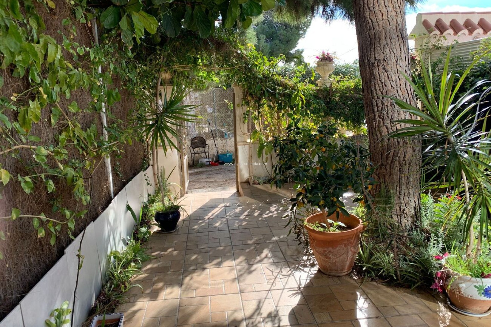 Herverkoop - Appartement / flat - La Zenia - Costa Blanca