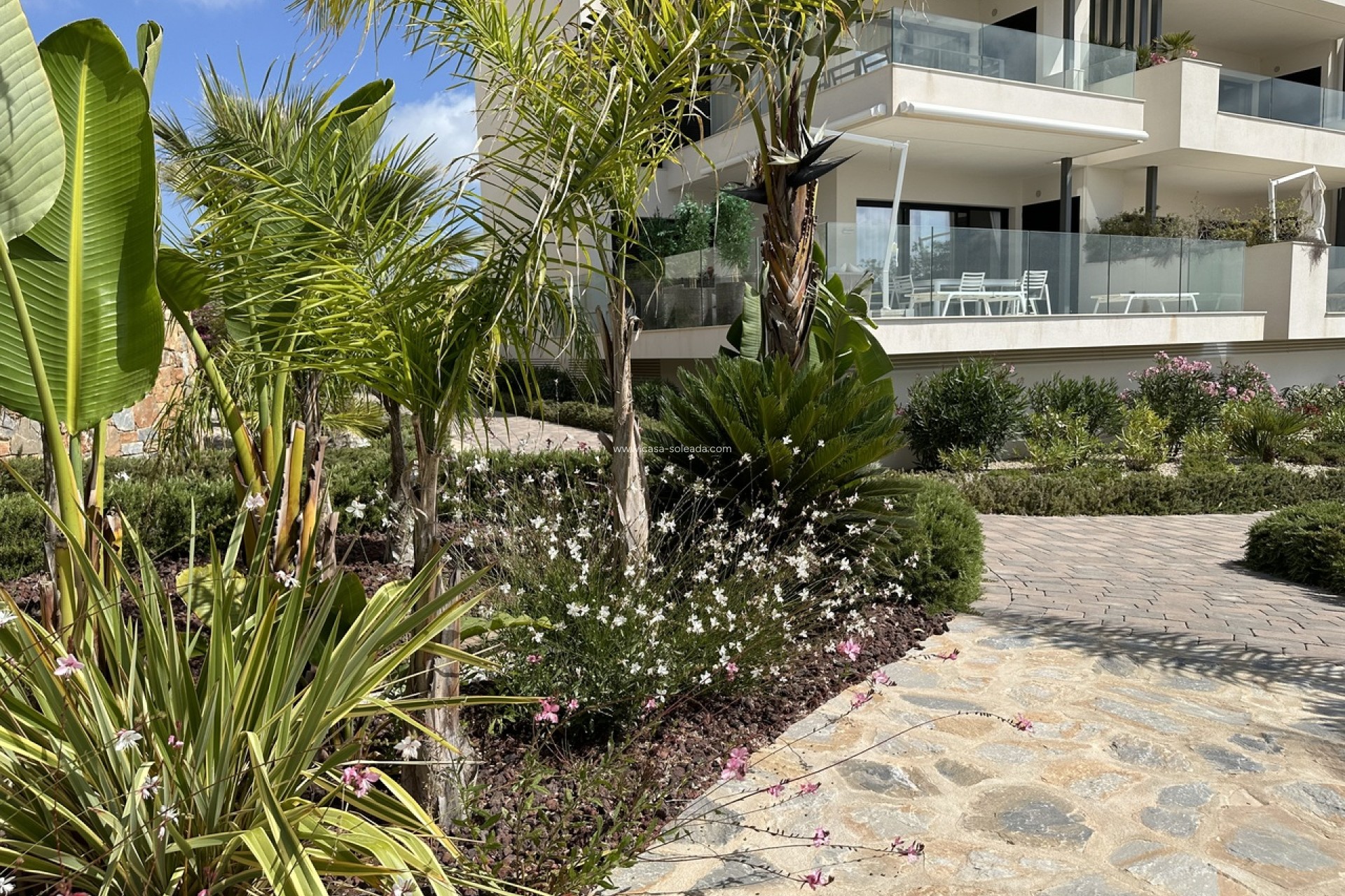 Herverkoop - Appartement / flat - Las Colinas Golf Resort