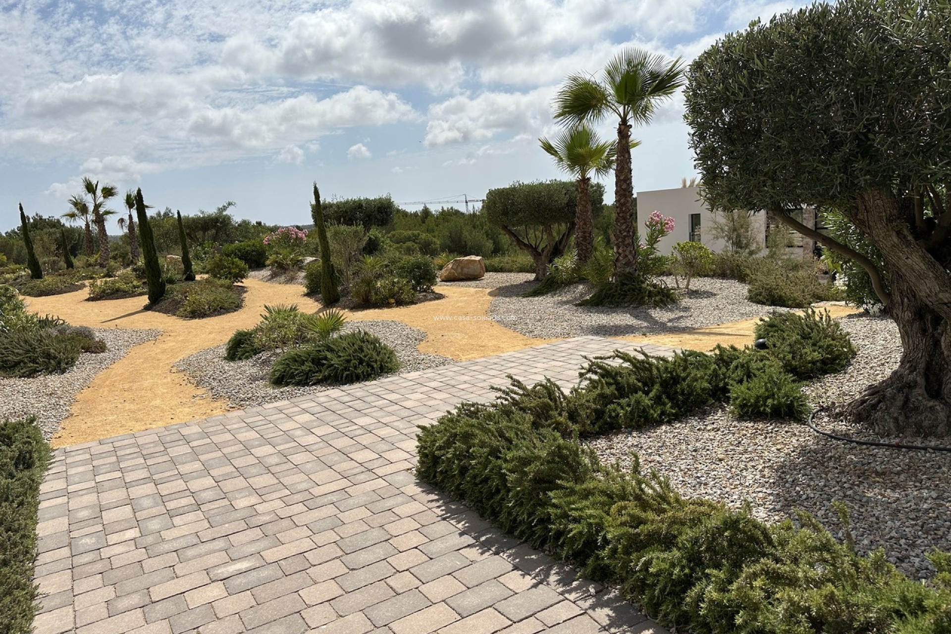 Herverkoop - Appartement / flat - Las Colinas Golf Resort