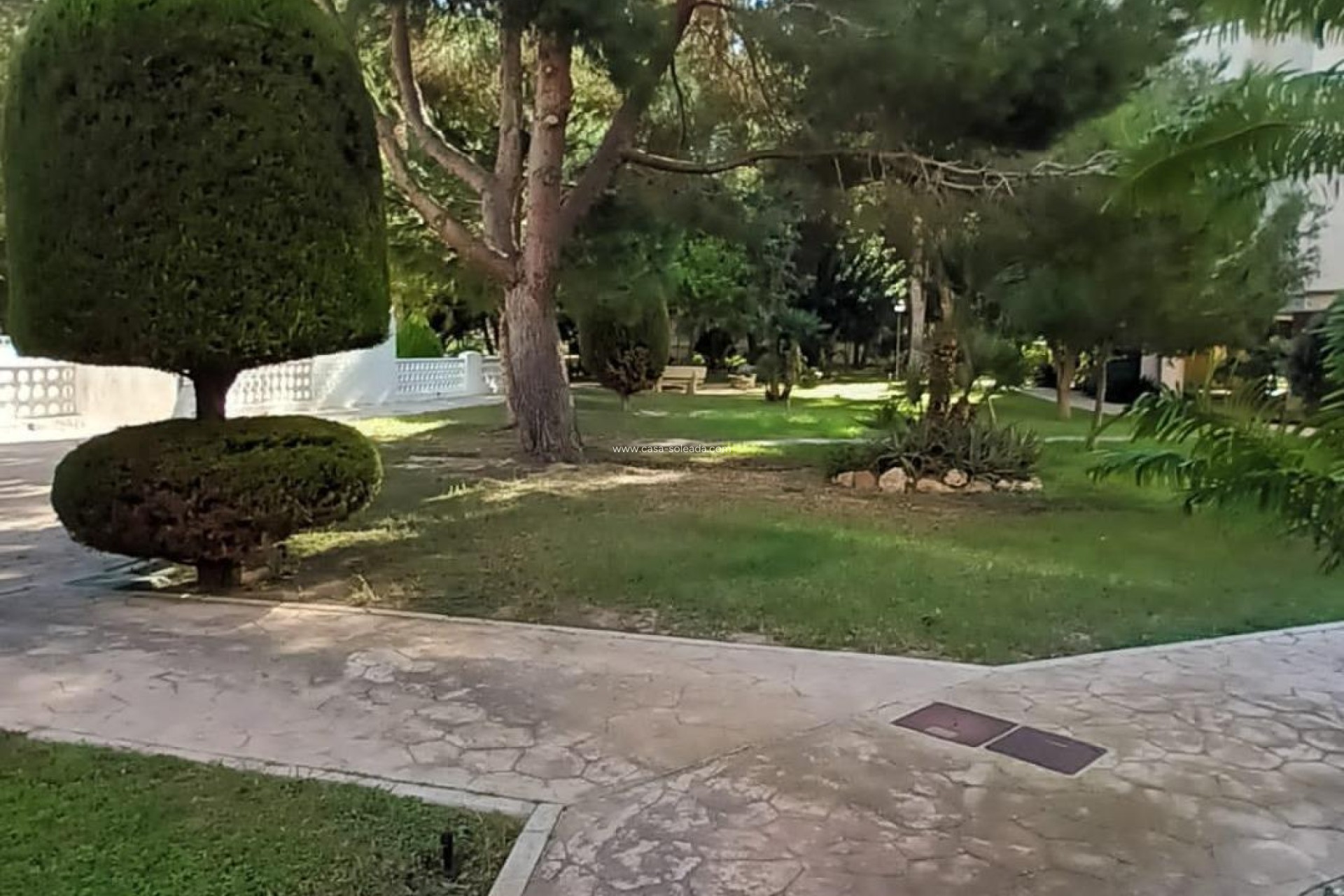 Herverkoop - Appartement / flat - Orihuela Costa - Campoamor