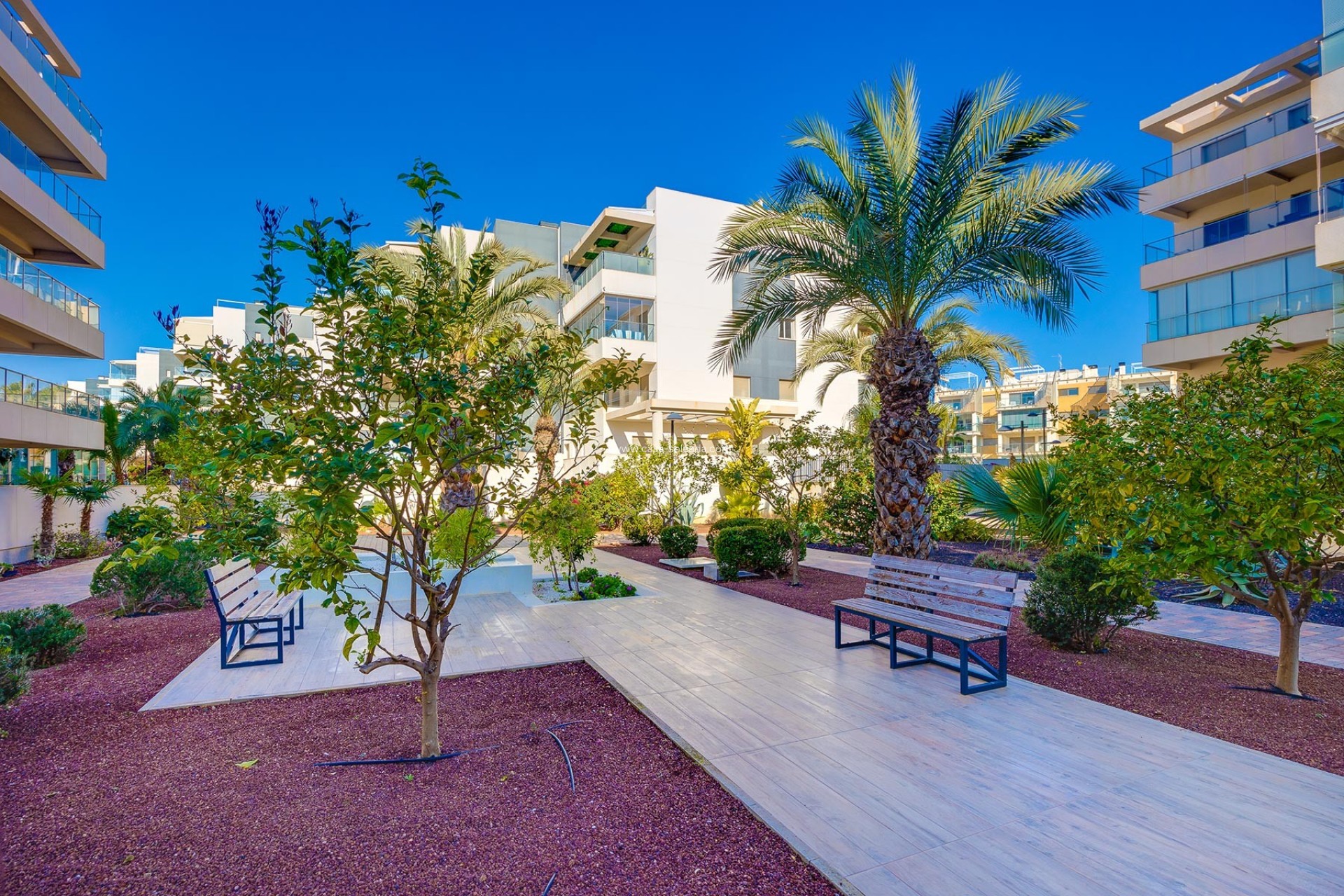 Herverkoop - Appartement / flat - Orihuela Costa - Costa Blanca