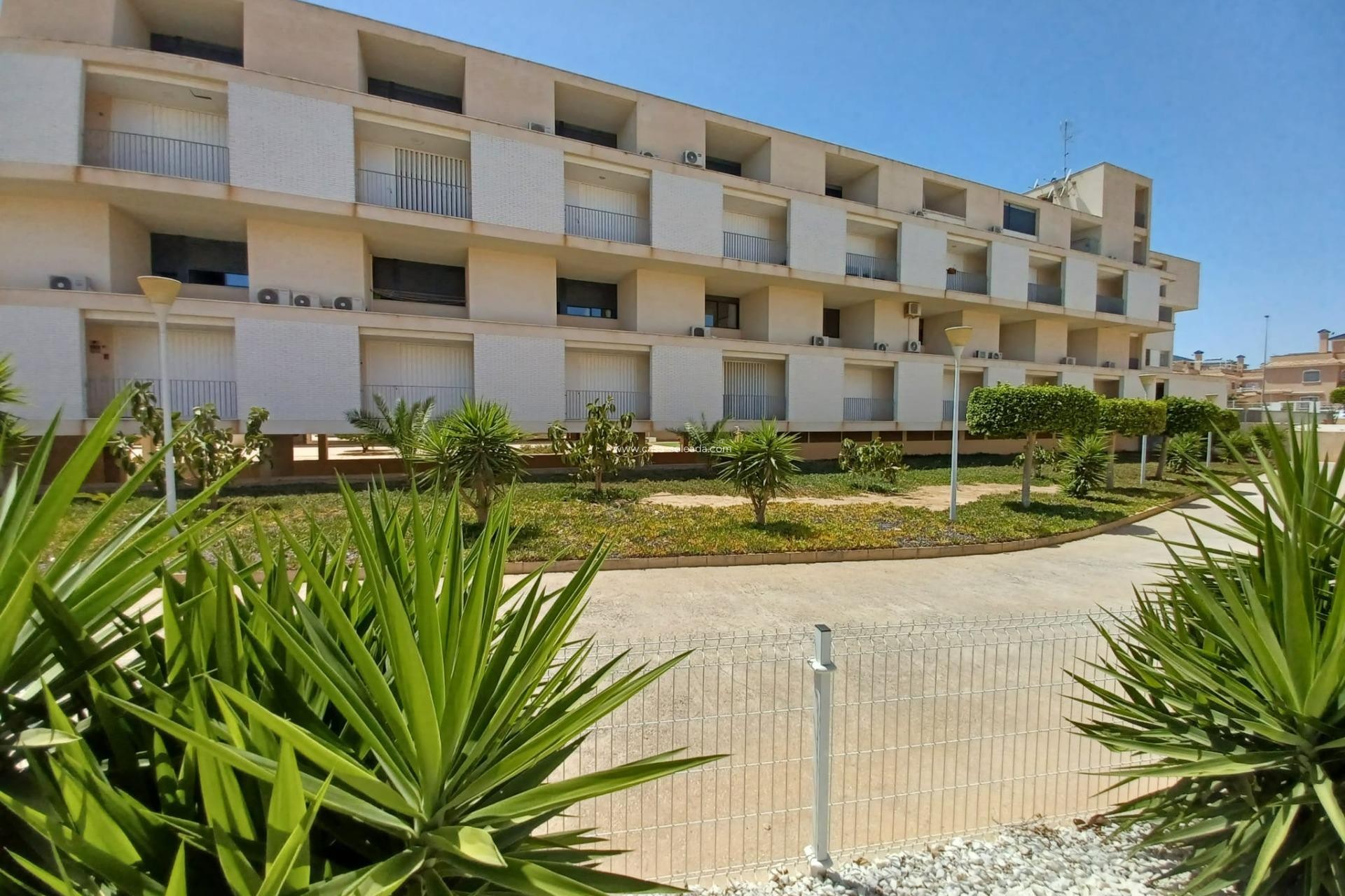 Herverkoop - Appartement / flat - Orihuela Costa - Los Dolses