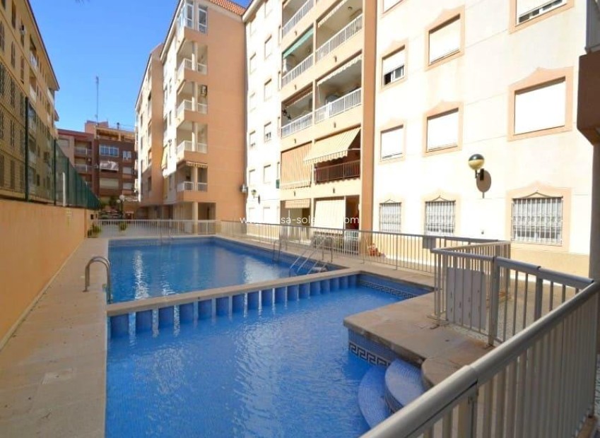 Herverkoop - Appartement / flat - Torrevieja - Acequion