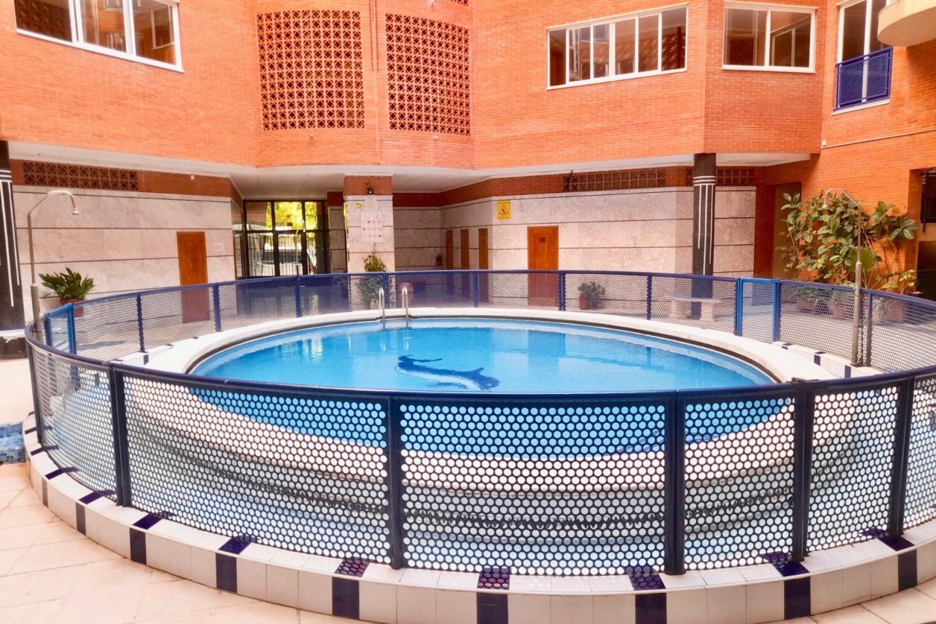 Herverkoop - Appartement / flat - Torrevieja - Acequion