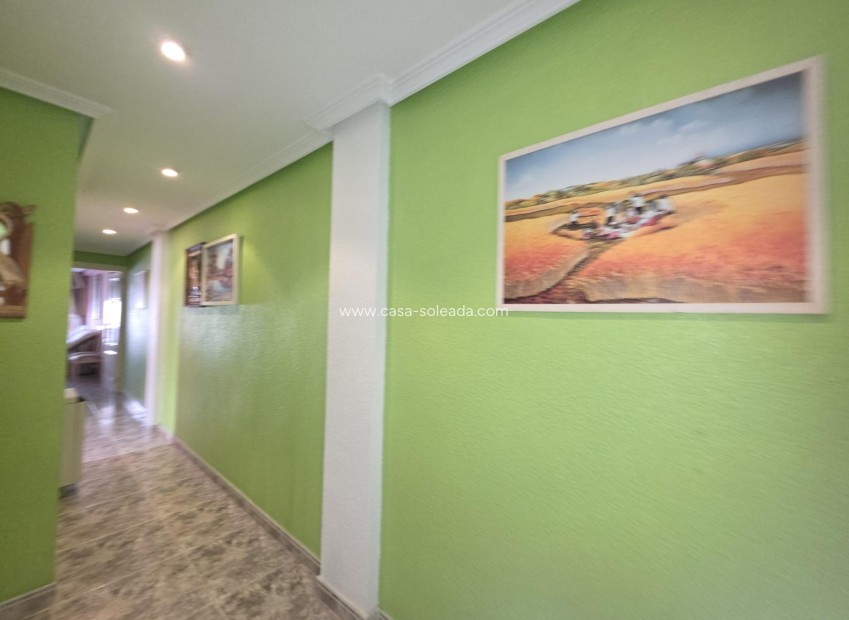 Herverkoop - Appartement / flat - Torrevieja - Acequion