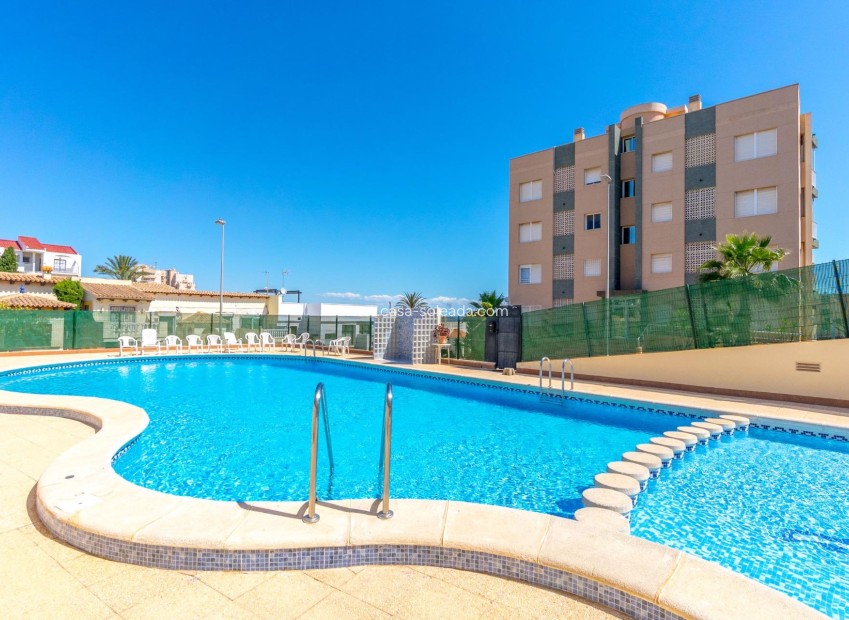 Herverkoop - Appartement / flat - Torrevieja - Cabo cervera