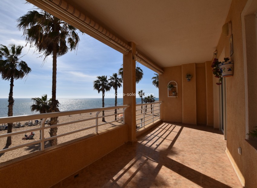 Herverkoop - Appartement / flat - Torrevieja - Costa Blanca