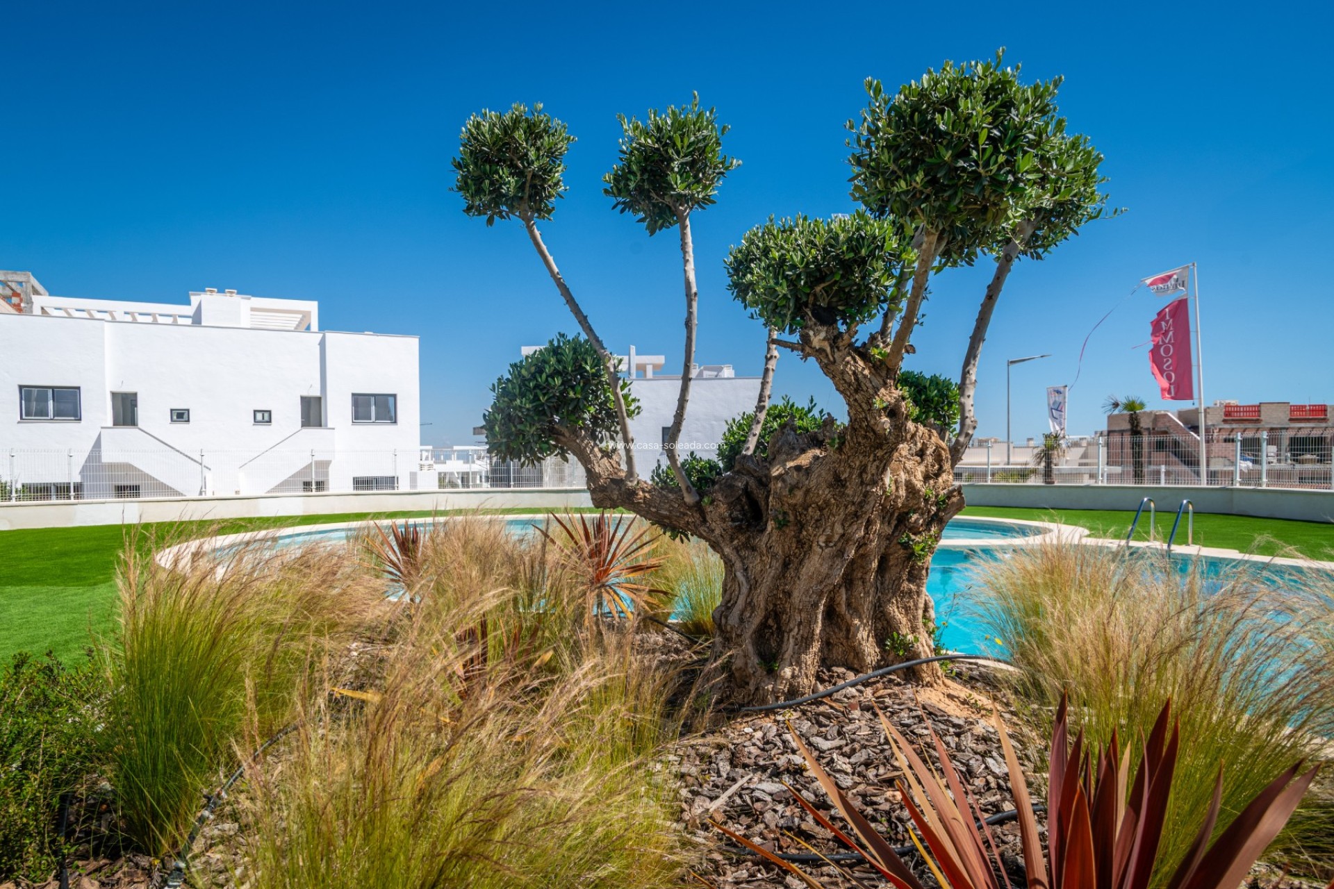 Herverkoop - Appartement / flat - Torrevieja - Costa Blanca