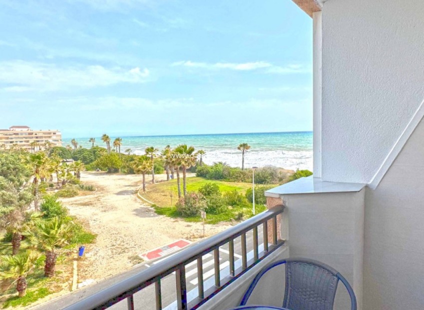 Herverkoop - Appartement / flat - Torrevieja - Costa Blanca