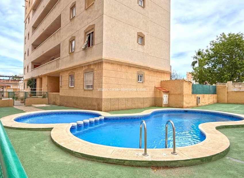 Herverkoop - Appartement / flat - Torrevieja - Costa Blanca
