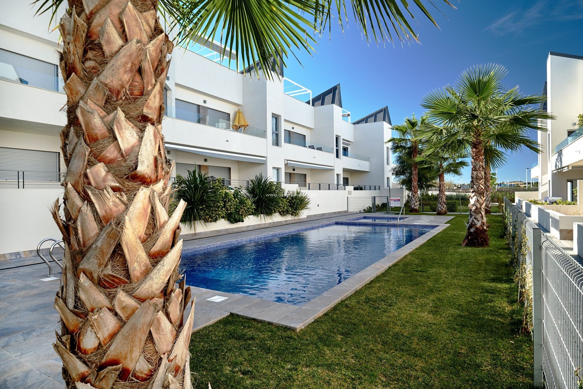 Herverkoop - Appartement / flat - Torrevieja - Costa Blanca
