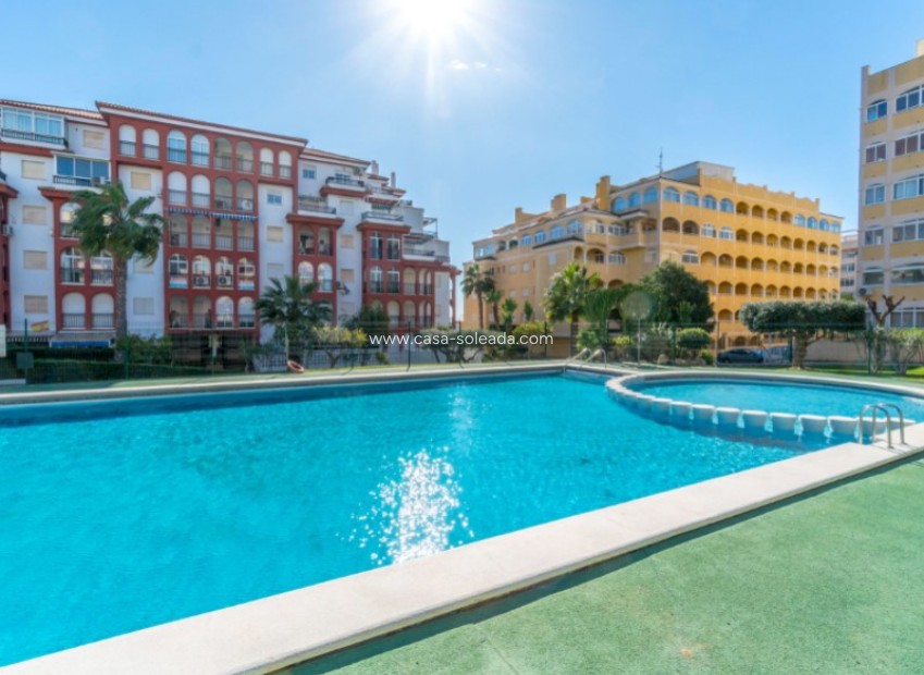 Herverkoop - Appartement / flat - Torrevieja - Costa Blanca