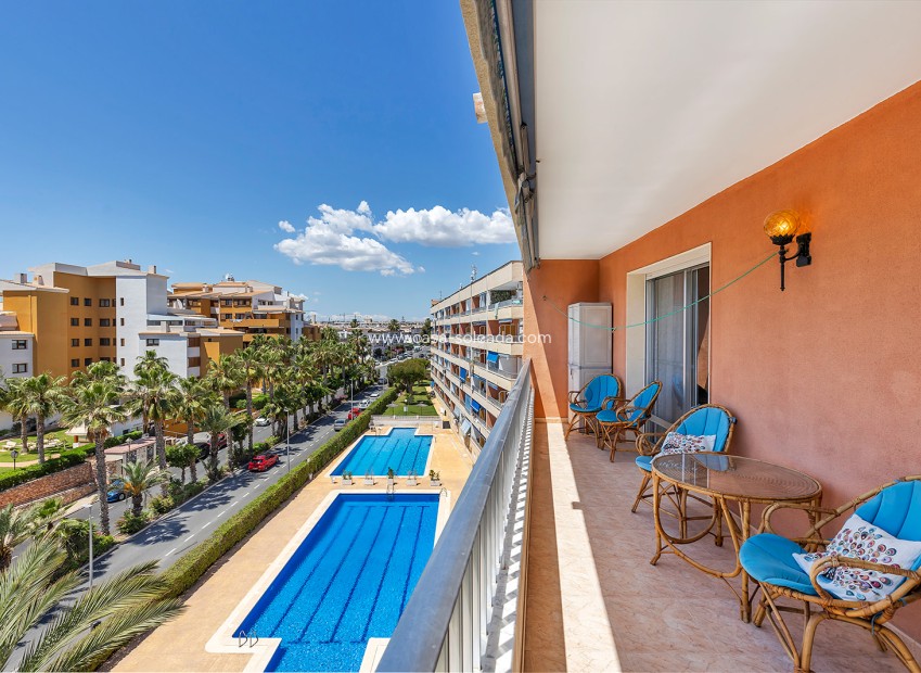 Herverkoop - Appartement / flat - Torrevieja - Costa Blanca