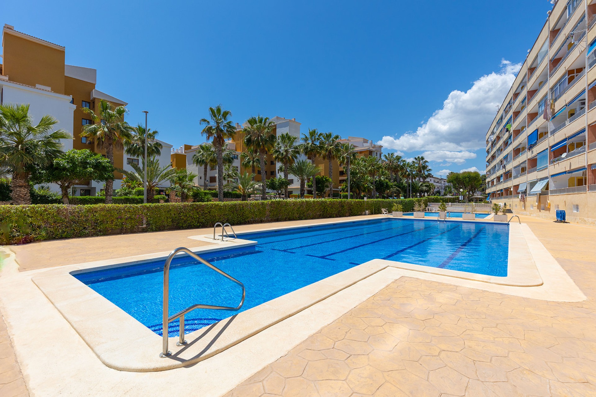 Herverkoop - Appartement / flat - Torrevieja - Costa Blanca