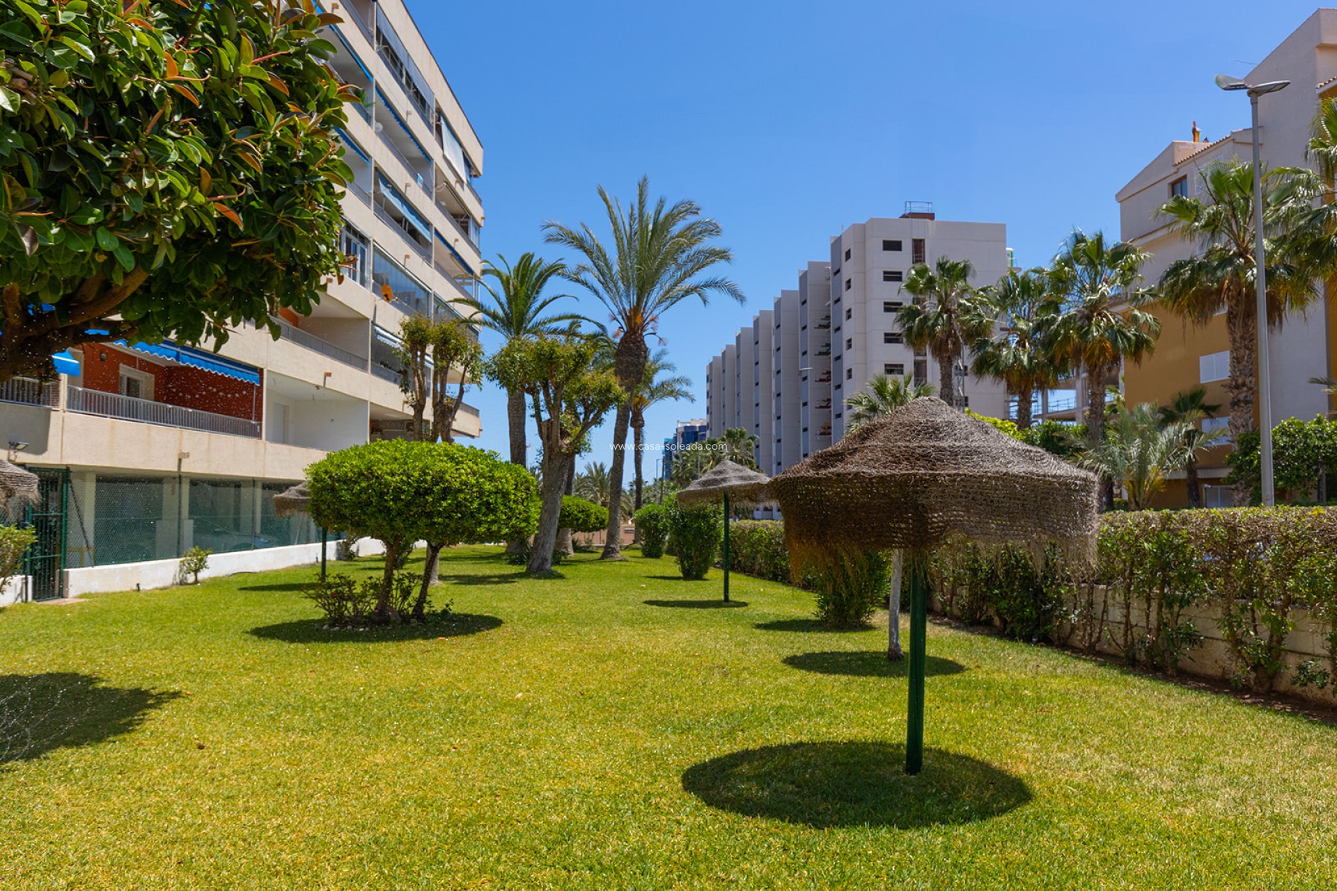 Herverkoop - Appartement / flat - Torrevieja - Costa Blanca