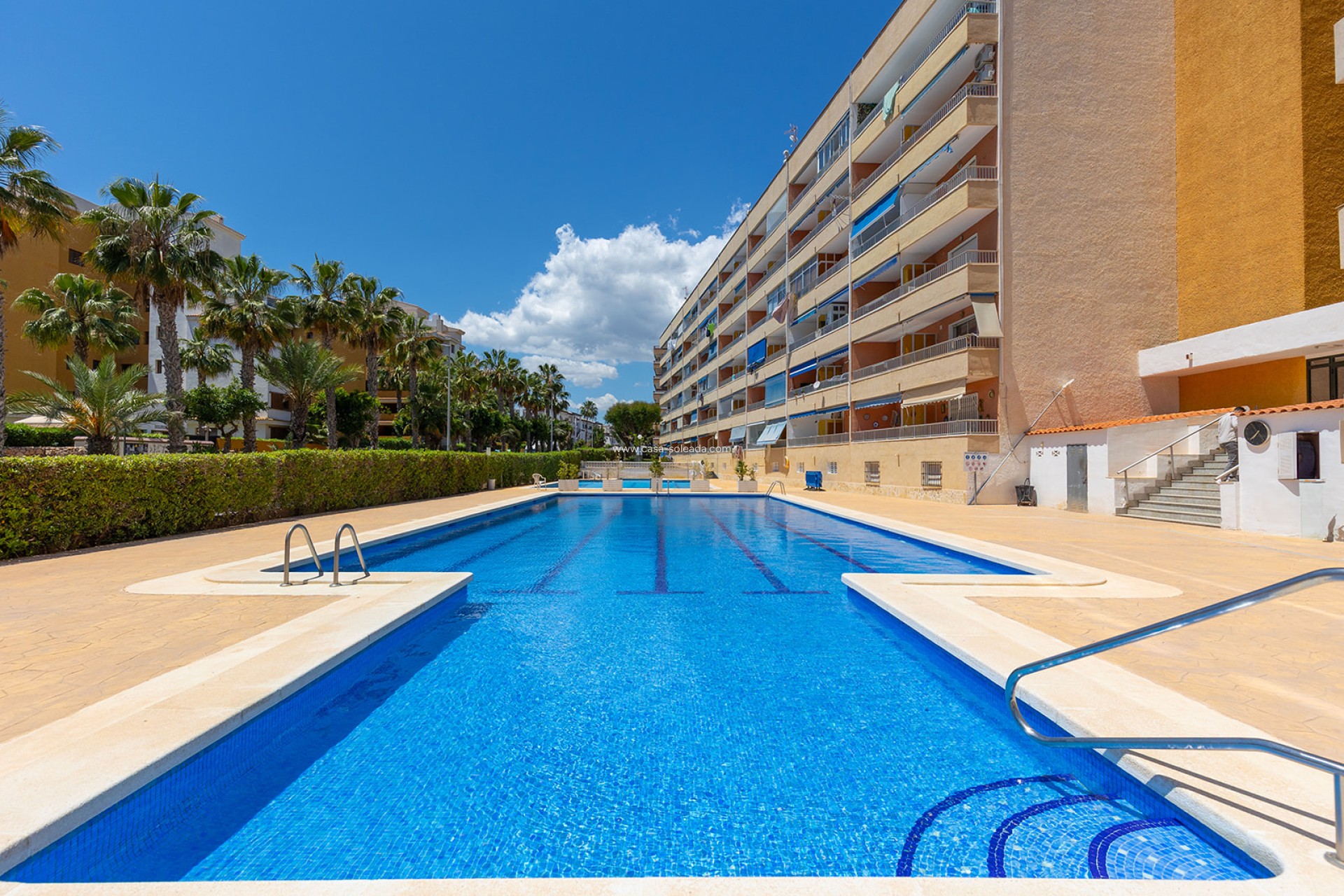 Herverkoop - Appartement / flat - Torrevieja - Costa Blanca