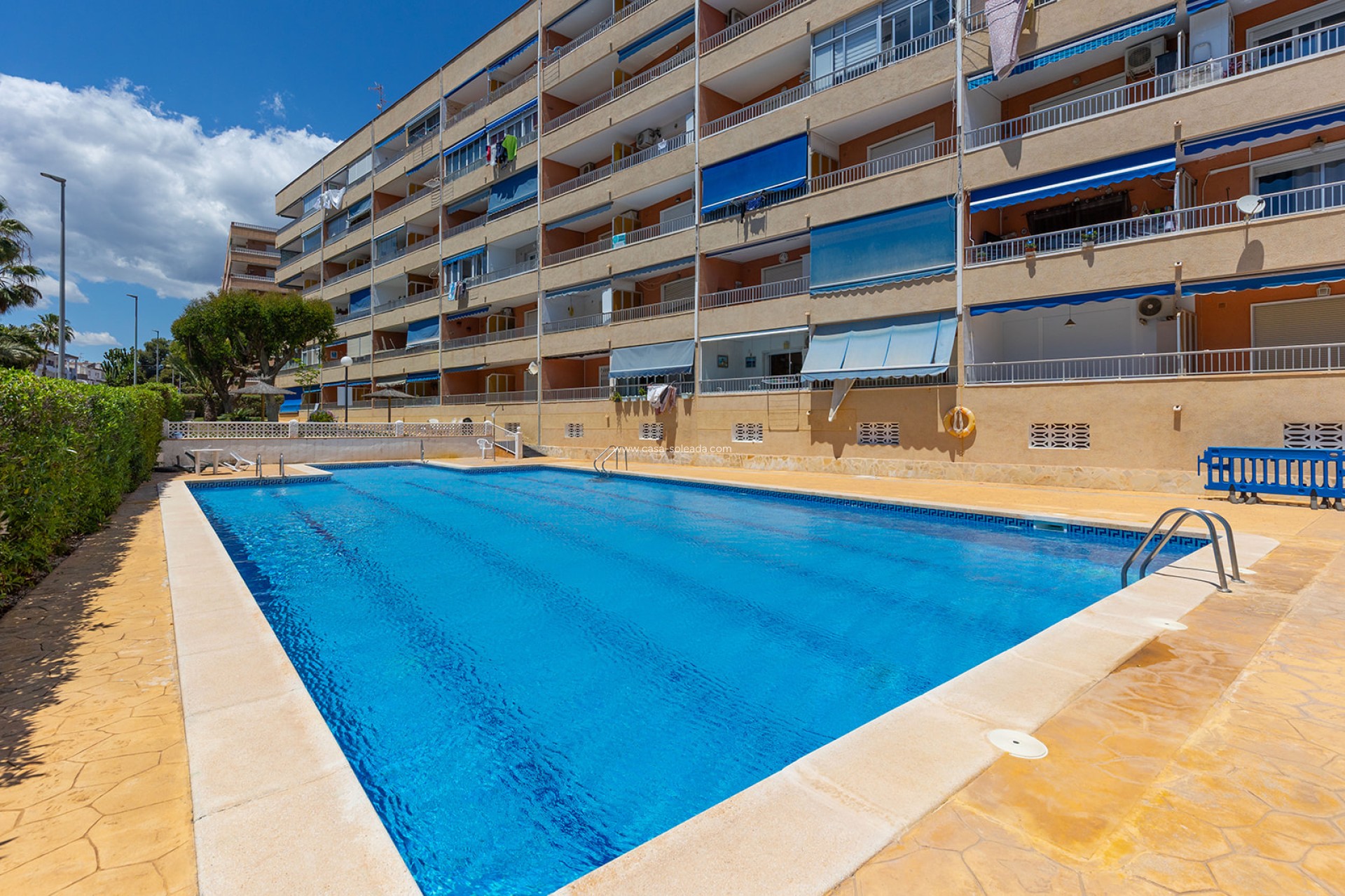 Herverkoop - Appartement / flat - Torrevieja - Costa Blanca