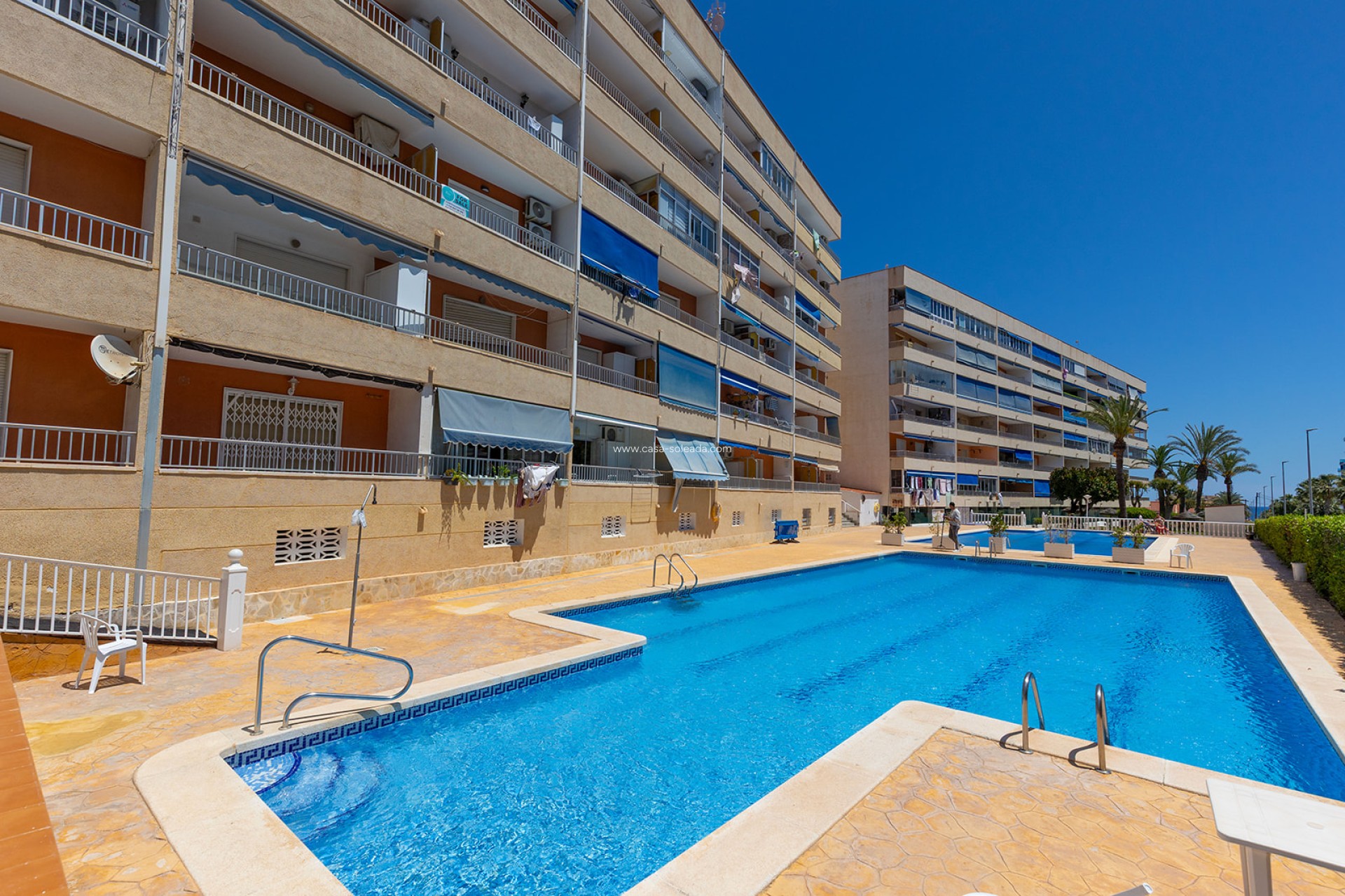 Herverkoop - Appartement / flat - Torrevieja - Costa Blanca