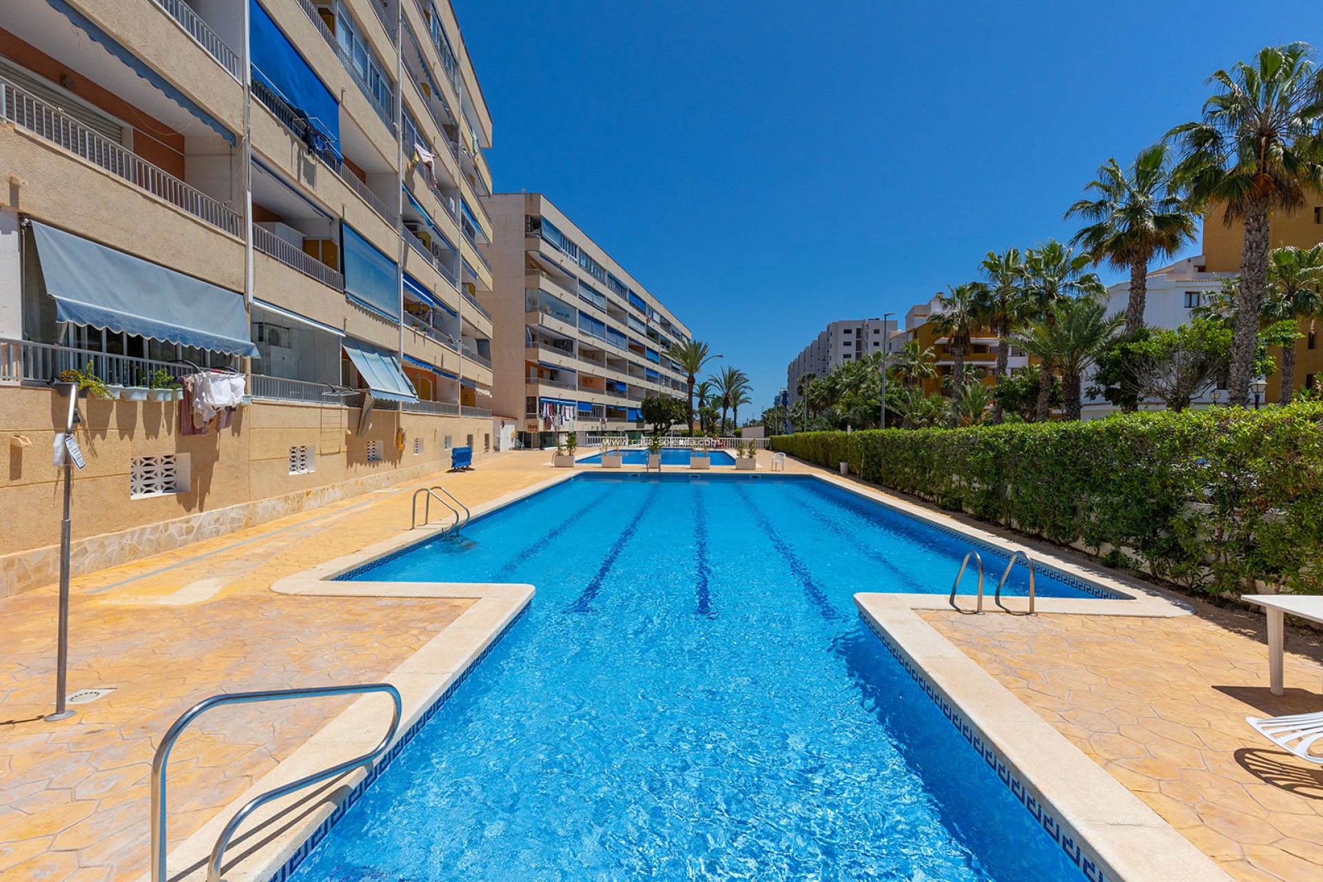 Herverkoop - Appartement / flat - Torrevieja - Costa Blanca