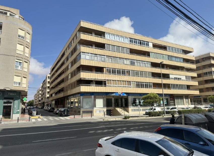 Herverkoop - Appartement / flat - Torrevieja - Costa Blanca