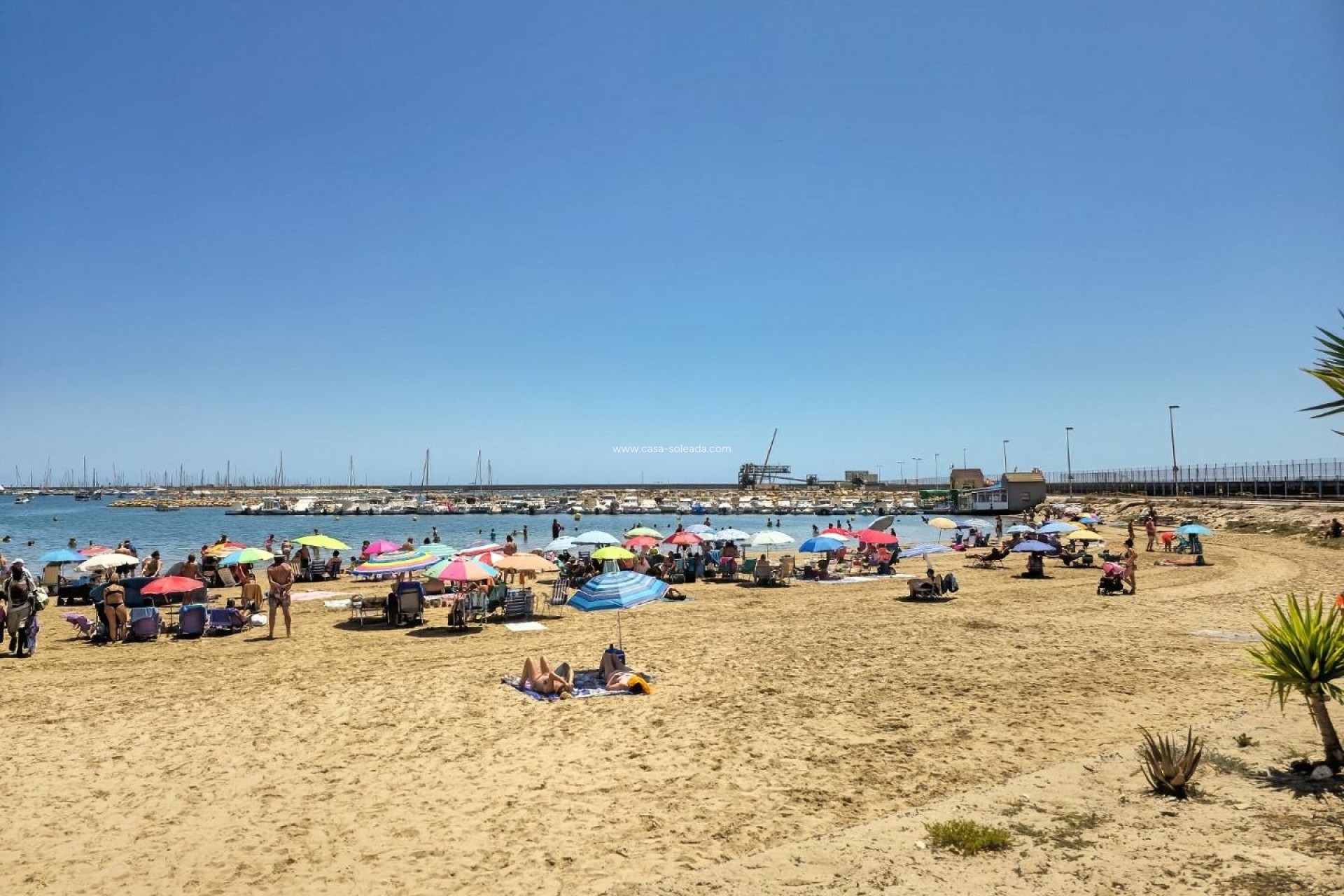 Herverkoop - Appartement / flat - Torrevieja - El Acequión - Los Náufragos