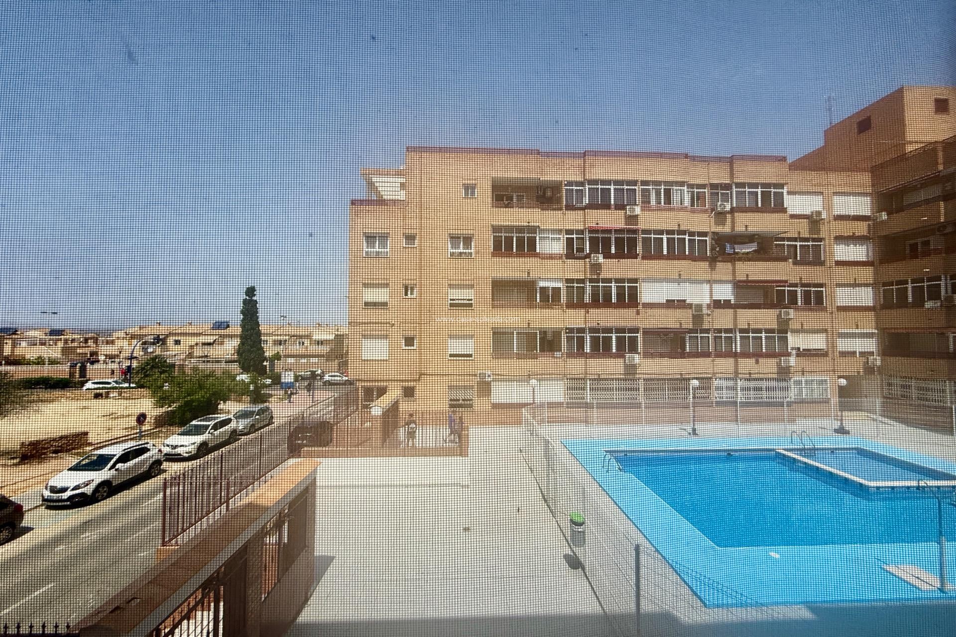 Herverkoop - Appartement / flat - Torrevieja - El Molino