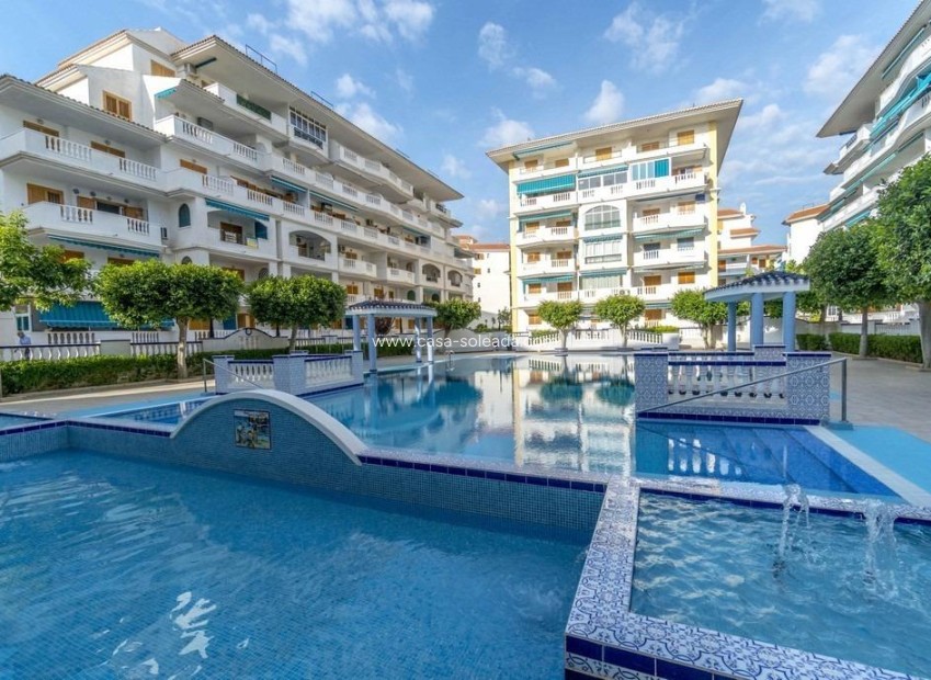 Herverkoop - Appartement / flat - Torrevieja - Los Europeos