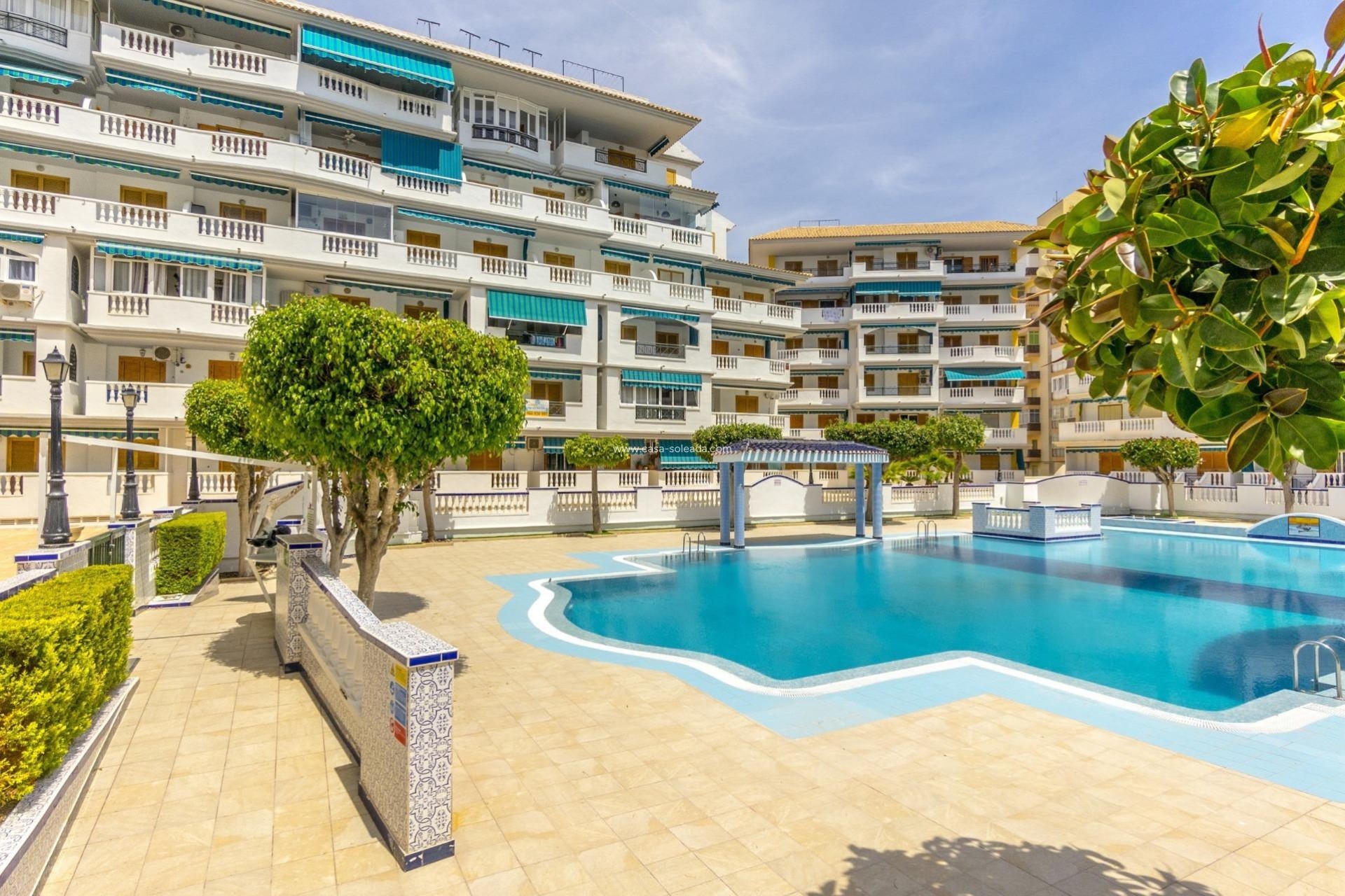 Herverkoop - Appartement / flat - Torrevieja - Los Europeos