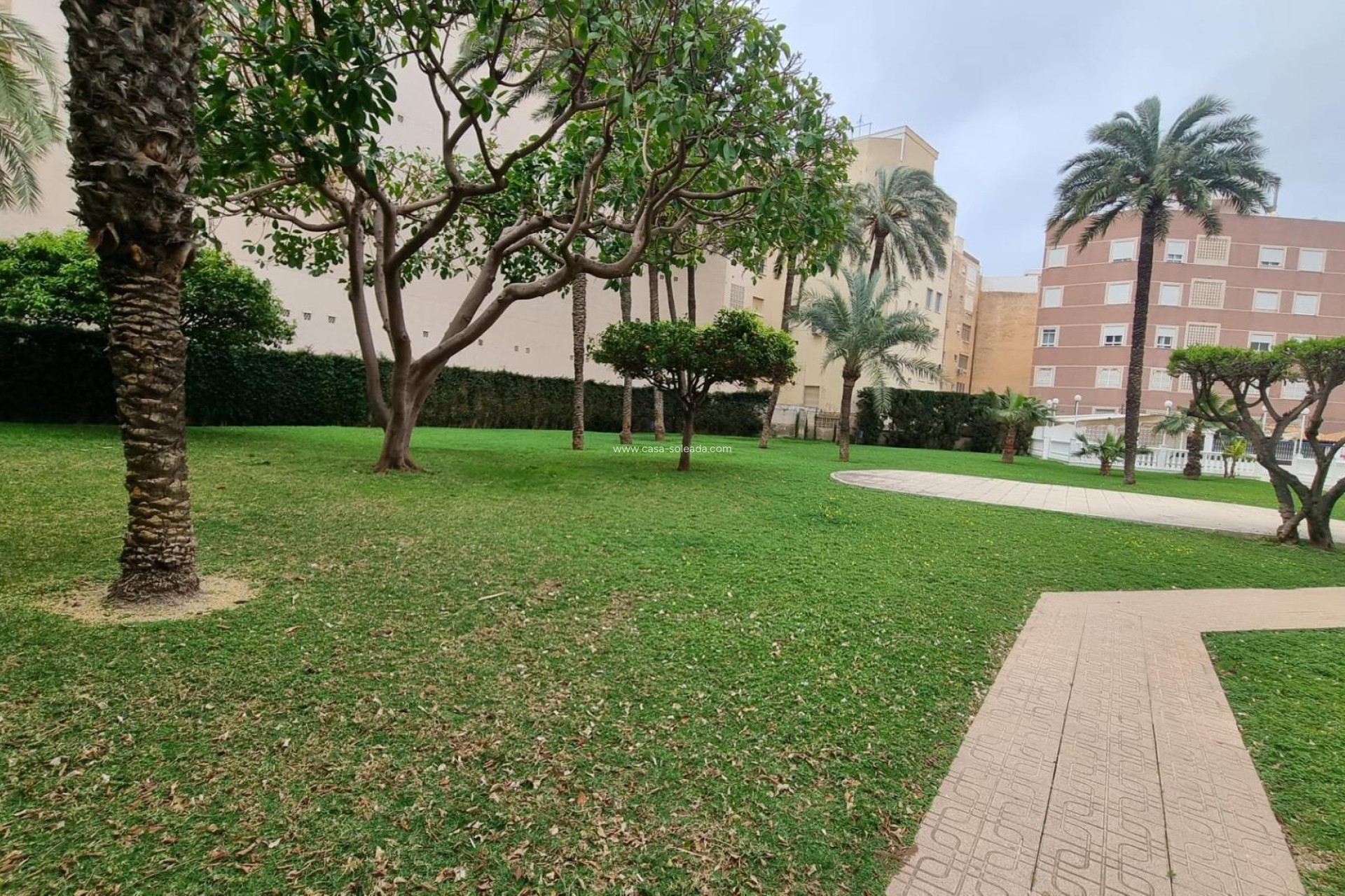 Herverkoop - Appartement / flat - Torrevieja - Playa de los Locos