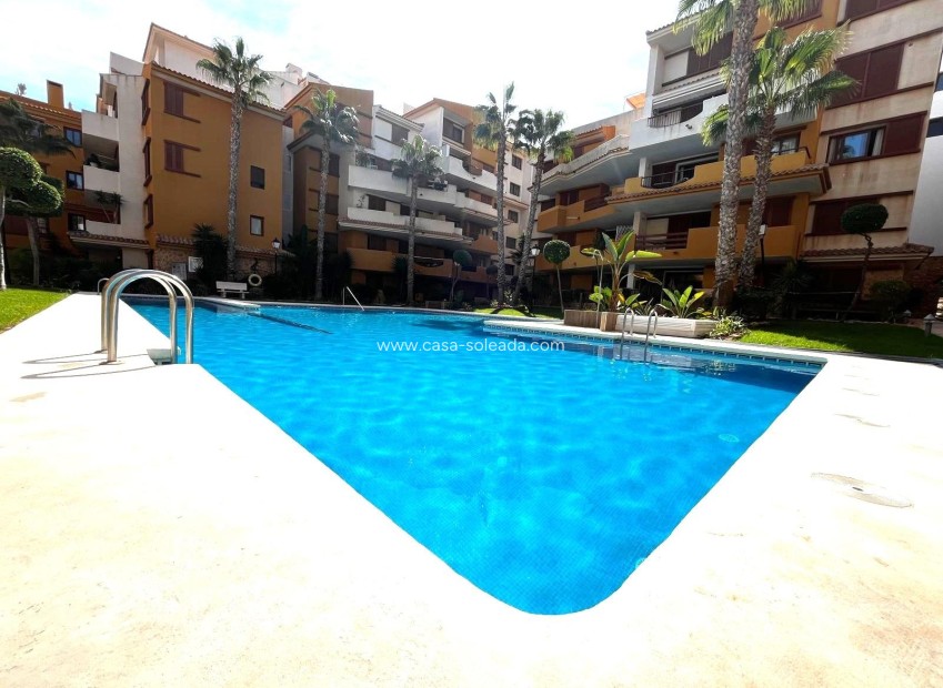 Herverkoop - Appartement / flat - Torrevieja - Punta Prima