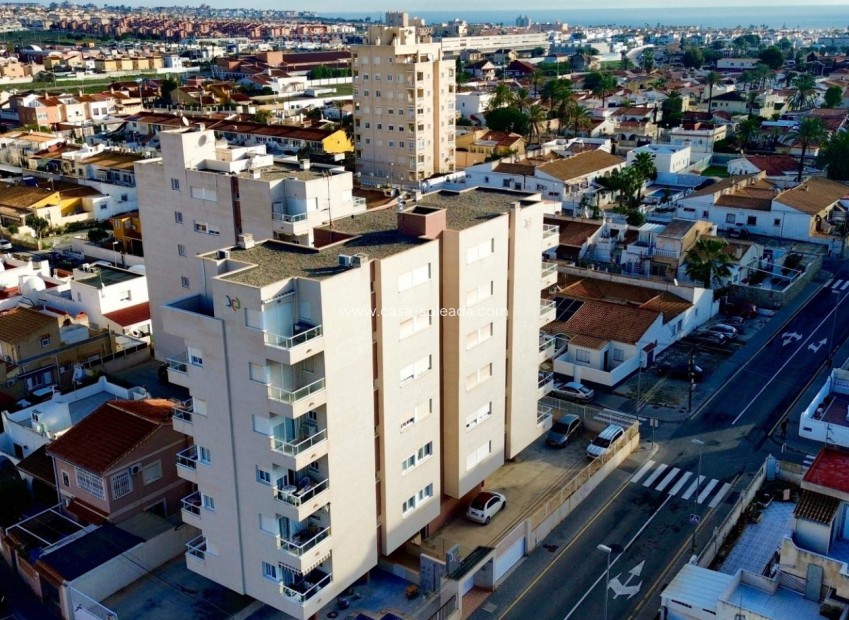 Herverkoop - Appartement / flat - Torrevieja