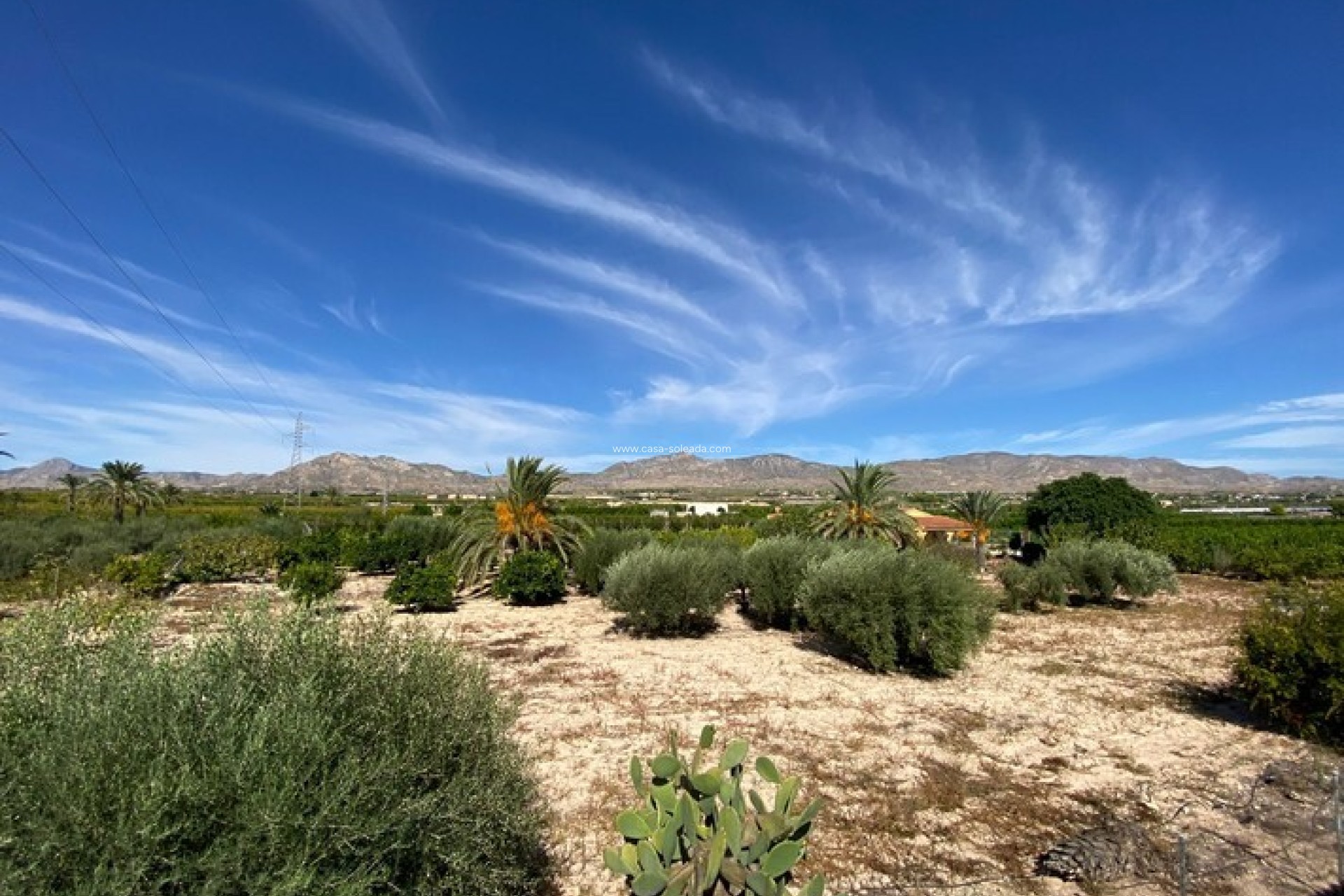 Herverkoop - Country Property/Finca - Albatera - Inland